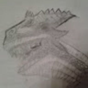 Meet your Posher, Paul